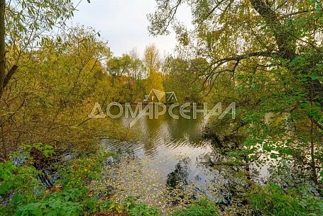 Коттеджный поселок Чистые пруды