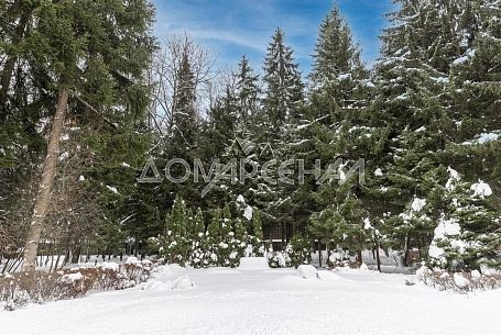 КП Ваутутинки