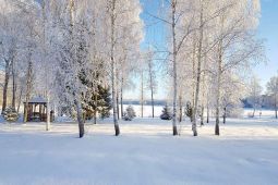 11554 ДП Хорошово. Участок с потрясающими видами и комфортной инфраструктурой