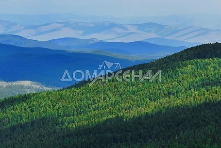 КП Клубный курорт Кедры Новая Москва КП Клубный курорт Кедры Новая Москва