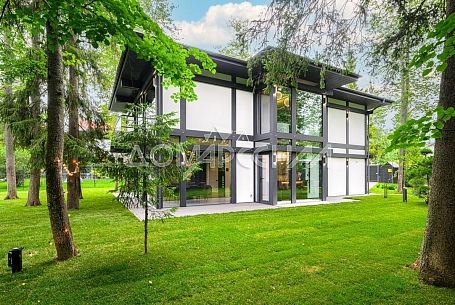 Зеленая роща