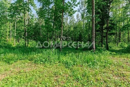 КП 11315 Романцево. Участок 4 Га под застройку