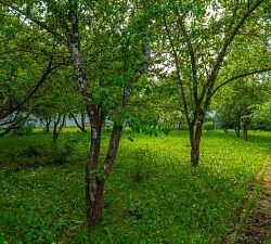 11228 КП Согласие-1. Уникальный участок в благоустроенном посёлке