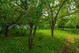 11228 КП Согласие-1. Уникальный участок в благоустроенном посёлке