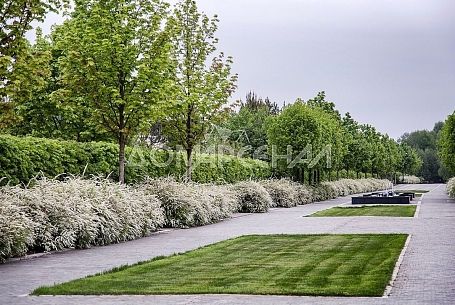 КП Жуковка XXI КП Новая Москва