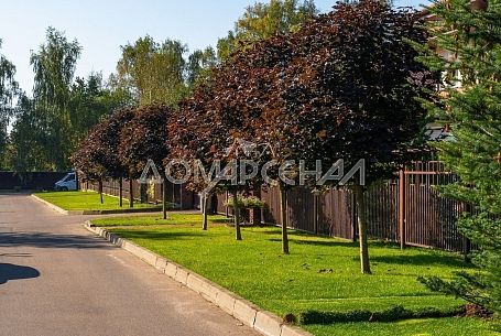 Купить дом в коттеджном поселоке Благодать