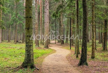 Купить дом в коттеджном поселоке Арт.Эко (Art.Eco)