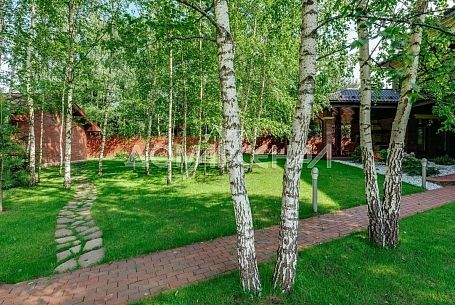 Лесное озеро