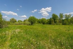 10877 КП У реки. Уникальный участок 237.1 сот. на берегу реки Десна