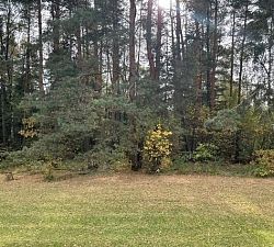 11477 Участок для строительства загородного дома с видом на сосновый бор