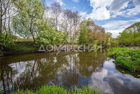 10418 Красное. Видовой лесной участок рядом с рекой 