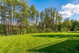  11535 КП Природный Парк Каменка. Земельный участок 16 соток