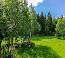 11304 КП Президент. Участок 18 соток, примыкающий к лесу и реке Незнайка