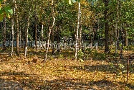 Коттеджный поселок Зеленые Холмы Коттеджный поселок Зеленые Холмы