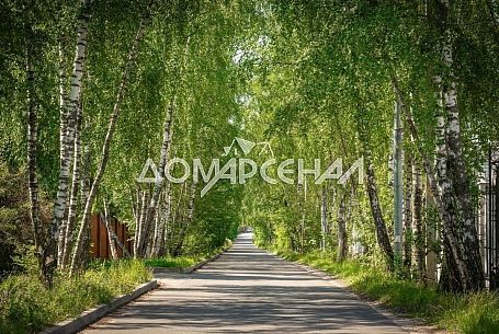 Купить участок в коттеджном поселоке Монплезир-Пушкино