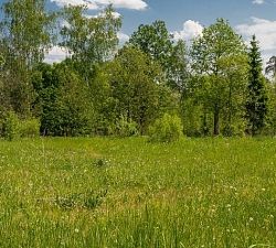 10322 КП Президент. Участок 15 соток в лучшей части коттеджного поселка