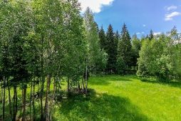 8524 КП Валуевская слобода. Уникальный лесной участок в камерном поселке