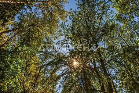 КП Зеленые Холмы Новая Москва КП Зеленые Холмы Новая Москва