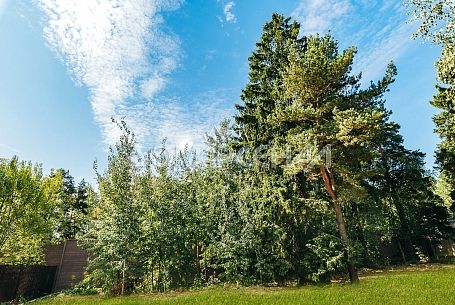 Стольное КП