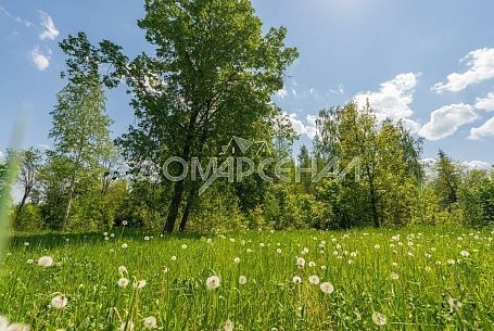 КП 10875 КП У реки. Уникальный участок 83 сот. на берегу реки Десна