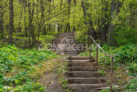 10422 Красное. Видовой лесной участок рядом с рекой 