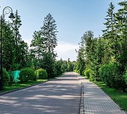  11820 КП Антоновка. Участок 14 соток