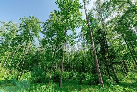 КП 11315 Романцево. Участок 4 Га под застройку