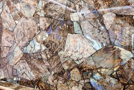 Жуковка XXI КП