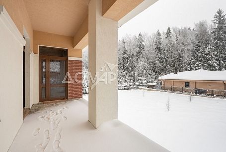 Графский лес Графский лес