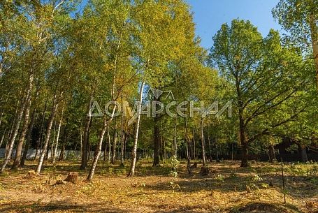 КП Зеленые Холмы