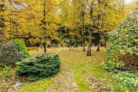 КП Ново-Спасское Новая Москва КП Ново-Спасское Новая Москва