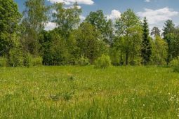 10322 КП Президент. Участок 15 соток в лучшей части коттеджного поселка