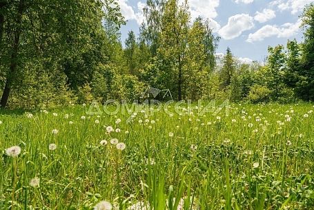 Коттеджный поселок 10875 КП У реки. Уникальный участок 83 сот. на берегу реки Десна
