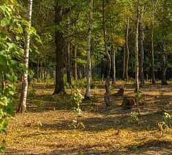 11250 КП Зеленые Холмы. Земельный участок 25 соток под индивидуальную жилую застройку