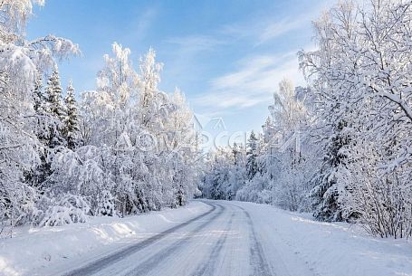 КП Природный парк Каменка Новая Москва