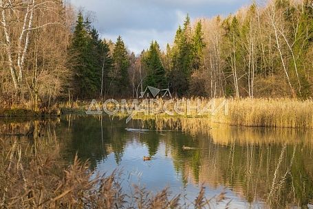 КП Династия КП Династия