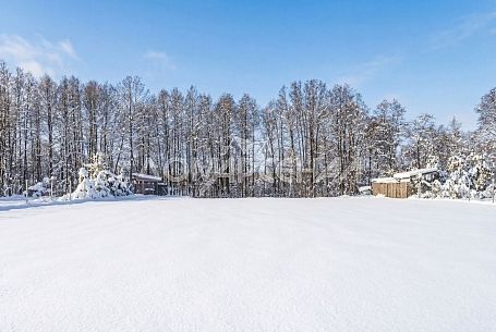 Коттеджный поселок Природный парк Каменка