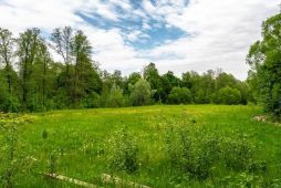 11254 Кукшево. Земельный участок 3 Га для ведения личного подсобного хозяйства