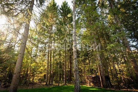 Коттеджный поселок Лесное озеро