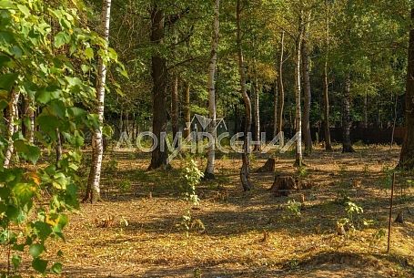 Зеленые Холмы Зеленые Холмы