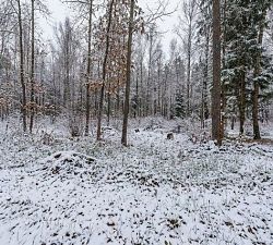 11315 Романцево. Участок 4 Га под застройку