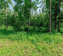 11135 Романцево. Участок 4 Га под застройку