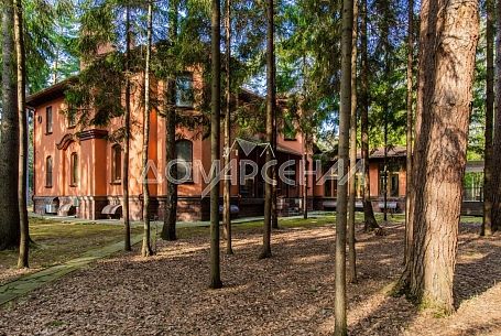 Лесной ручей-2 