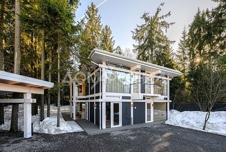 Зеленая роща