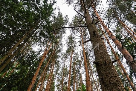 Купить дом в коттеджном поселоке Гайд Парк