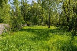10874 КП У реки. Уникальный участок 40.13 сот. на берегу реки Десна