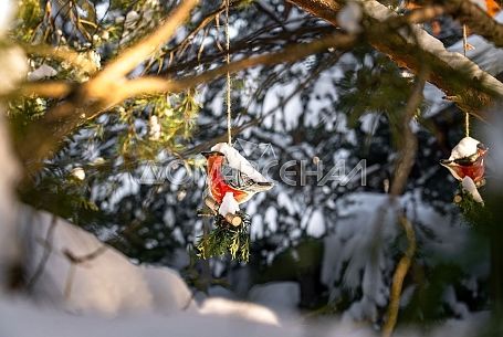 Купить участок в коттеджном поселоке Vnukovo Country Club