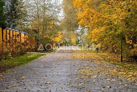 Купить коттедж в коттеджном поселоке Новоспасское