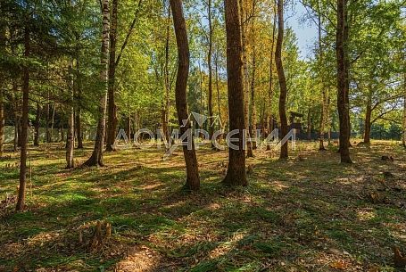 КП Зеленые Холмы КП Зеленые Холмы