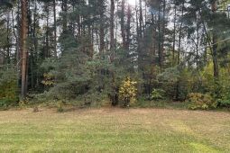 11477 Участок для строительства загородного дома с видом на сосновый бор